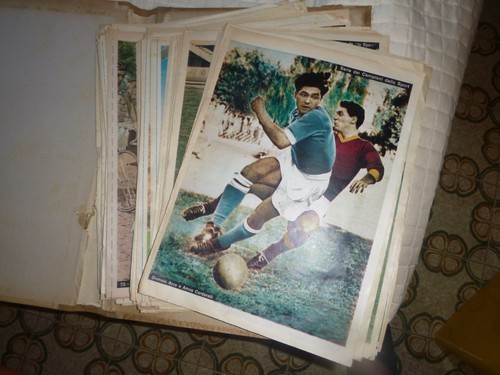Campioni sport - de, "lo